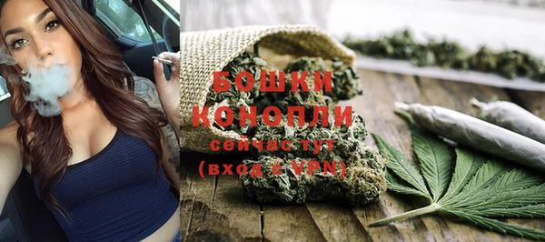PSILOCYBIN Няндома