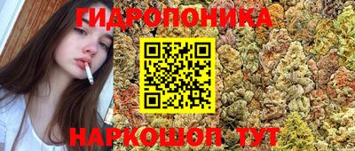 тгк Волгодонск