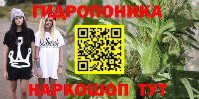 стаф Абинск
