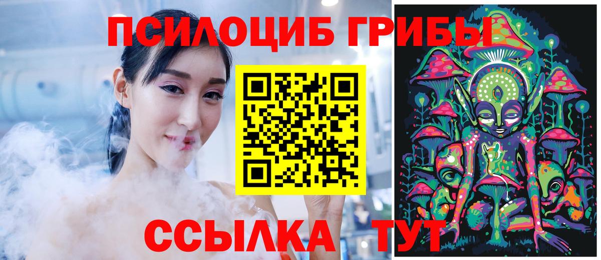 Псилоцибиновые грибы MAGIC MUSHROOMS Электрогорск