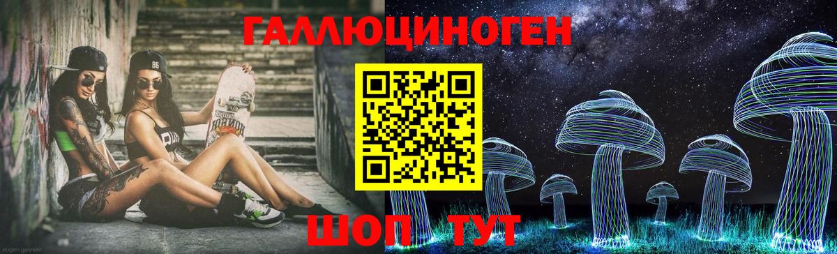 Псилоцибиновые грибы GOLDEN TEACHER  Псилоцибиновые грибы GOLDEN TEACHER  Вход с VPN  Электрогорск 