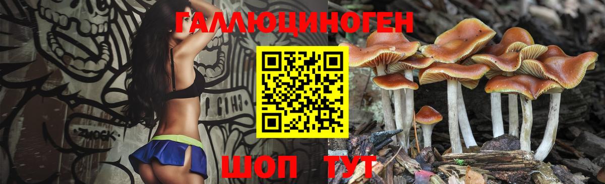 Электрогорск  Галлюциногенные грибы Psilocybe  Вход с VPN 